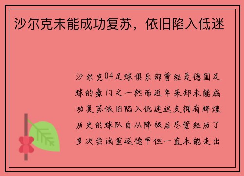 沙尔克未能成功复苏，依旧陷入低迷
