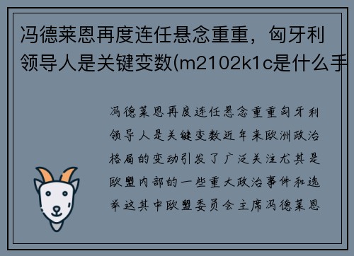 冯德莱恩再度连任悬念重重，匈牙利领导人是关键变数(m2102k1c是什么手机)