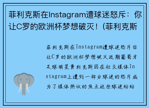 菲利克斯在Instagram遭球迷怒斥：你让C罗的欧洲杯梦想破灭！(菲利克斯转会)
